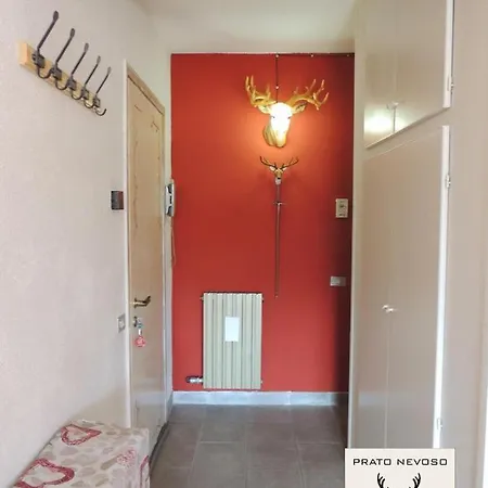 Stag